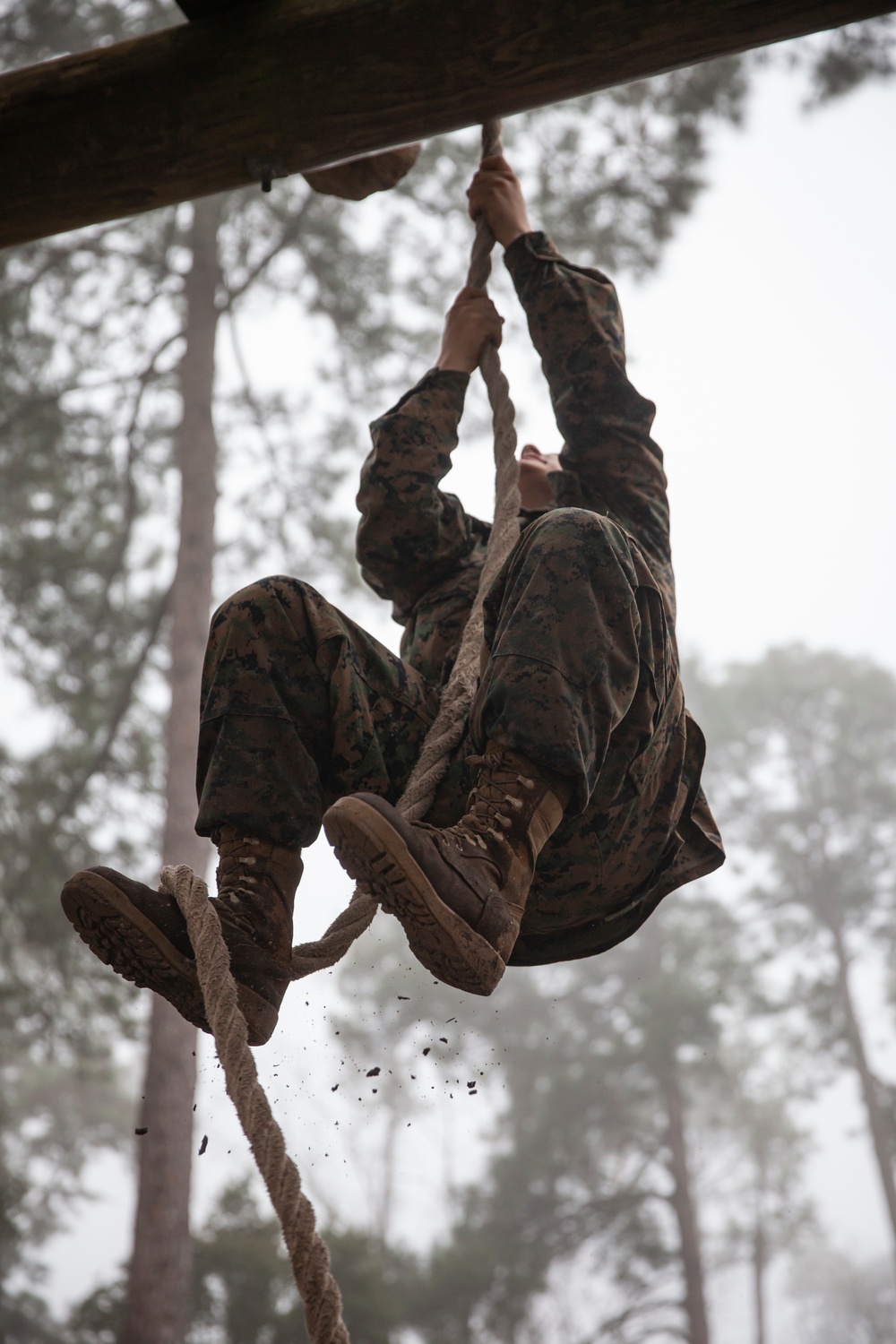 Delta Company Confidence Course