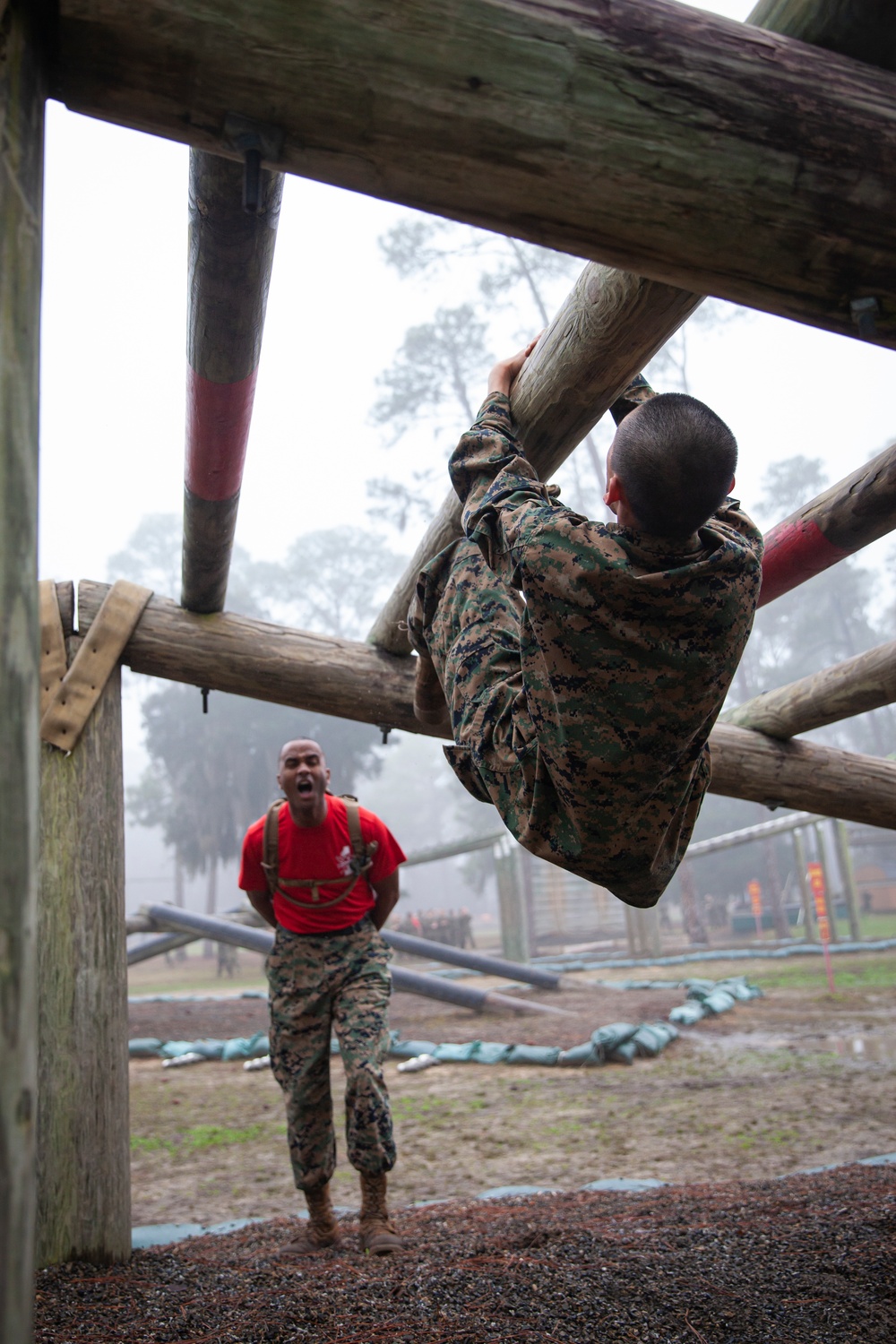 Delta Company Confidence Course