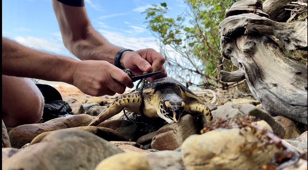 Marine Saves Marine Life