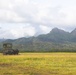 Marine Air Control Squadron 4, Navy, and Air Force conduct joint expeditionary air traffic control operations