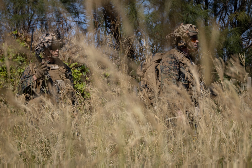 Marines of BLT 1/4 Conduct a Helo Raid Exercise