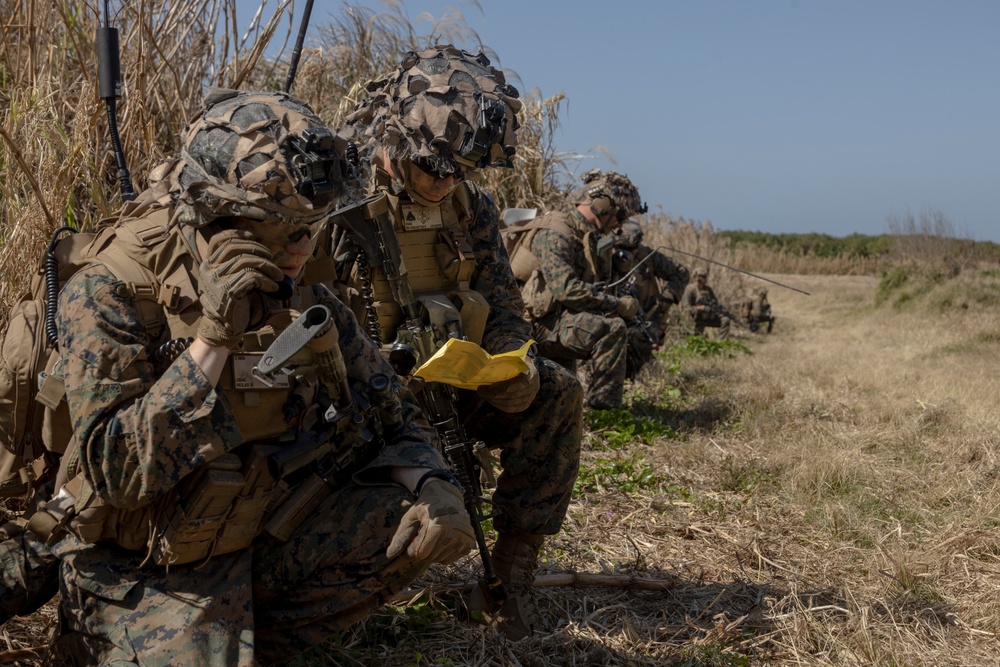 Marines of BLT 1/4 Conduct a Helo Raid Exercise