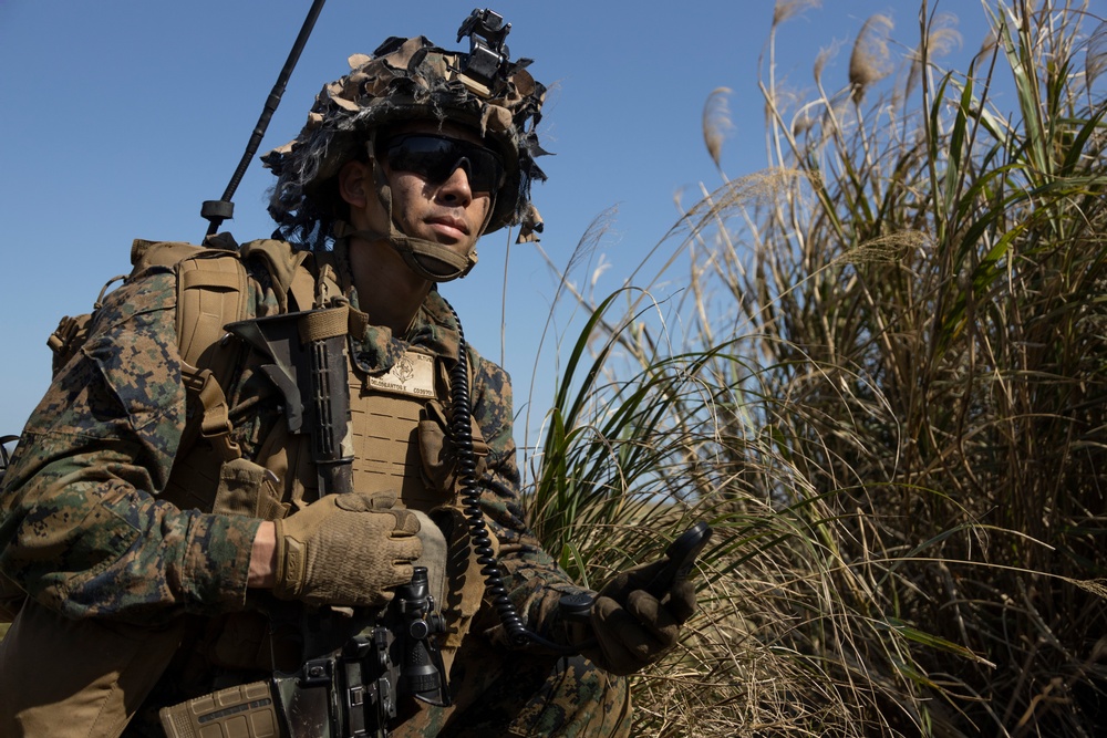 Marines of BLT 1/4 Conduct a Helo Raid Exercise