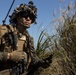 Marines of BLT 1/4 Conduct a Helo Raid Exercise