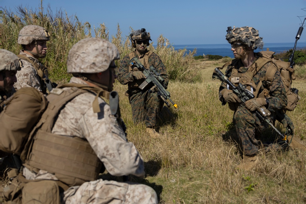 Marines of BLT 1/4 Conduct a Helo Raid Exercise