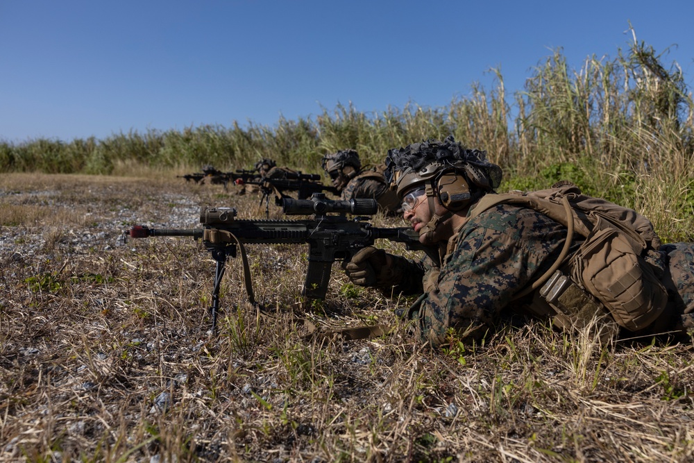 Marines of BLT 1/4 Conduct a Helo Raid Exercise