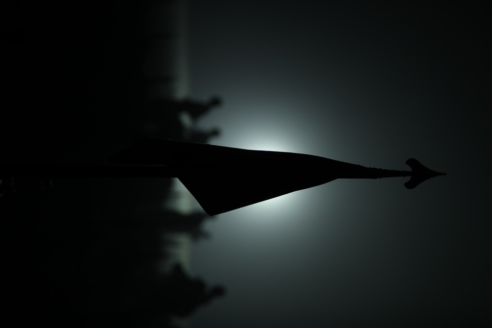 Delta Company Confidence Course