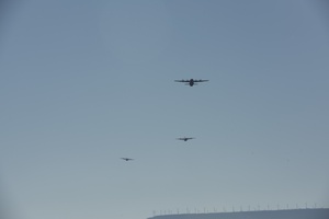 1st Battalion 3rd Aviation Regiment