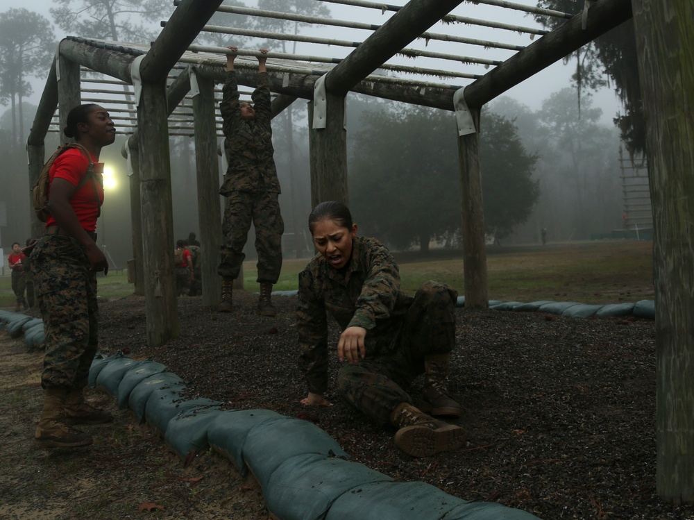 Delta Company Confidence Course