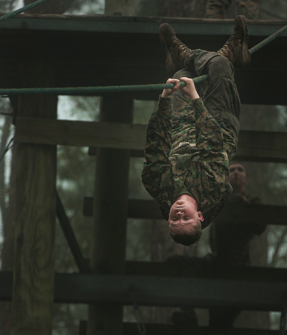 Delta Company Confidence Course