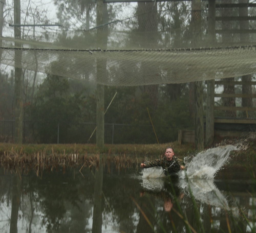 Delta Company Confidence Course