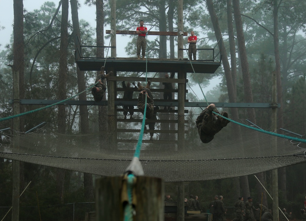 Delta Company Confidence Course