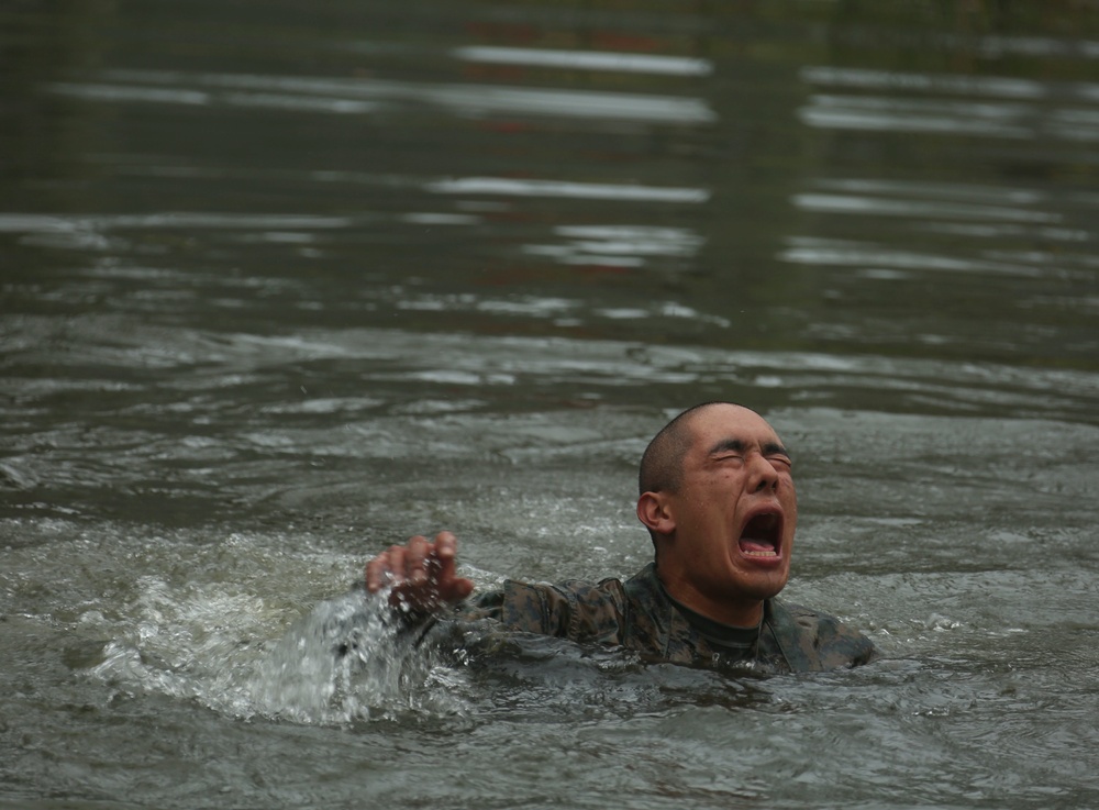 Delta Company Confidence Course