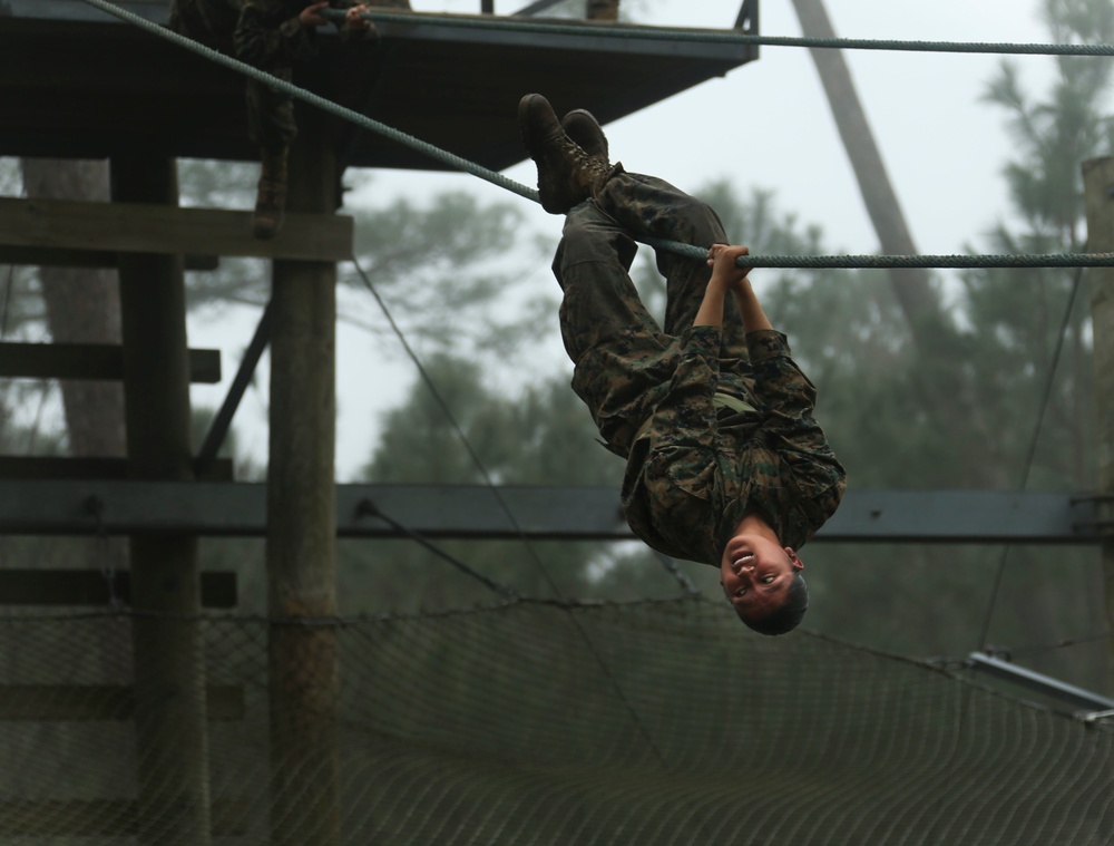 Delta Company Confidence Course