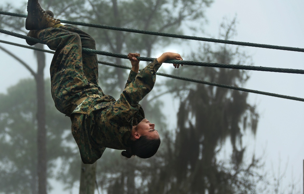 Delta Company Confidence Course