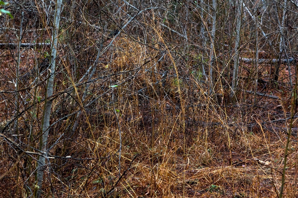 2023 02 02 Sniper class 23-002 stalk exercise