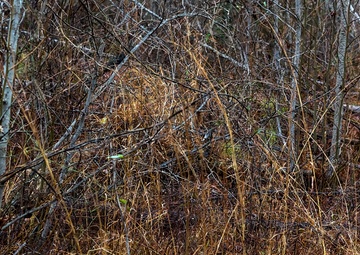 2023 02 02 Sniper class 23-002 stalk exercise