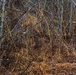 2023 02 02 Sniper class 23-002 stalk exercise