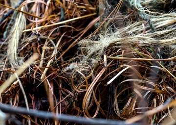 2023 02 02 Sniper class 23-002 stalk exercise