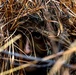 2023 02 02 Sniper class 23-002 stalk exercise