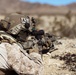 MLR-TE Recon Live-Fire Range