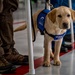 103rd Maintenance Wing Welcome Home, Airwing Centennial Celebration