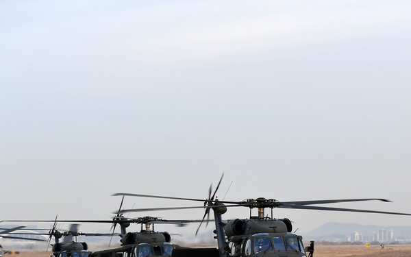 2-1 IN and 2 CAB Air Assault Training