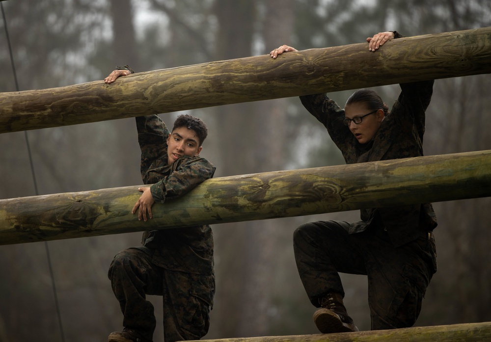 Delta Company Confidence Course
