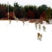 Airmen train in cold-weather operations, tactics, skills at Fort McCoy