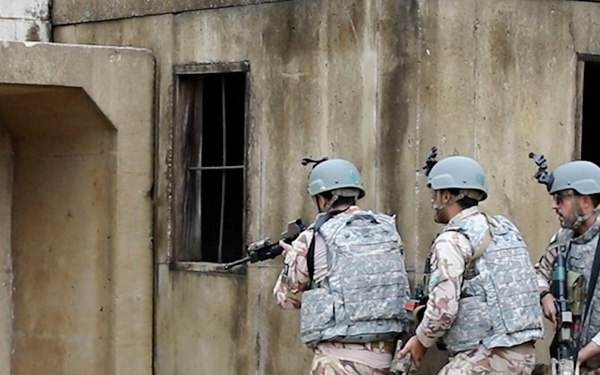 GB and Royal Saudi Forces Joint Training