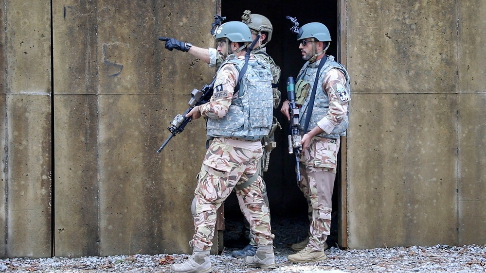 GB and Royal Saudi Forces Joint Training
