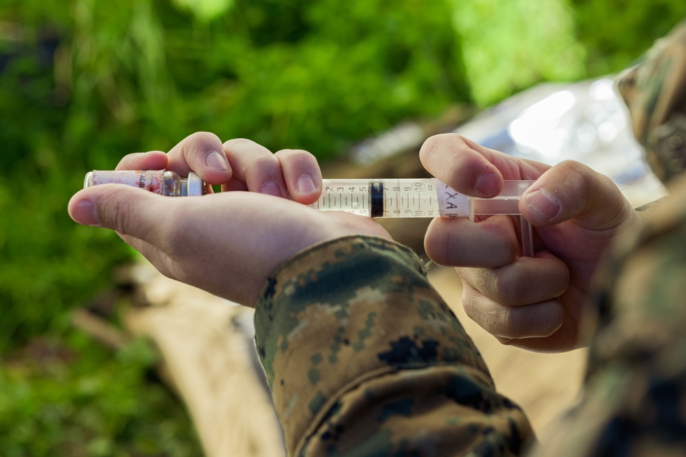 Division Marines, sailors train to provide casualty care