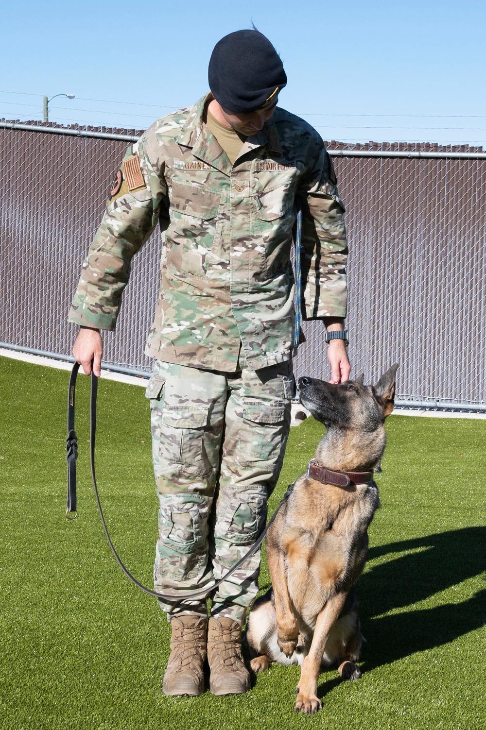 Working with our Air Force's Four-Legged Defenders