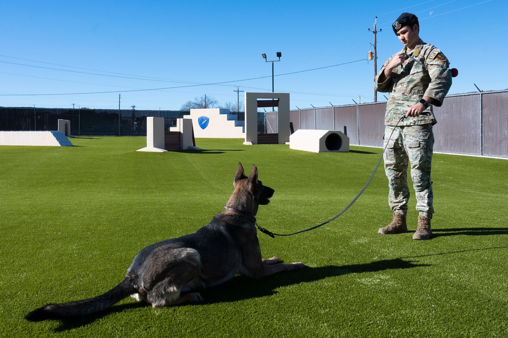 Working with our Air Force's Four-Legged Defenders