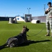 Working with our Air Force's Four-Legged Defenders