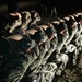 SEAL candidates participate in Hell Week