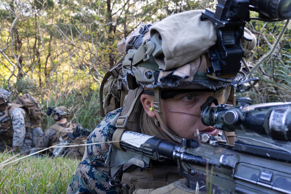 Battalion Landing Team 1/4 conducts TRAP exercise