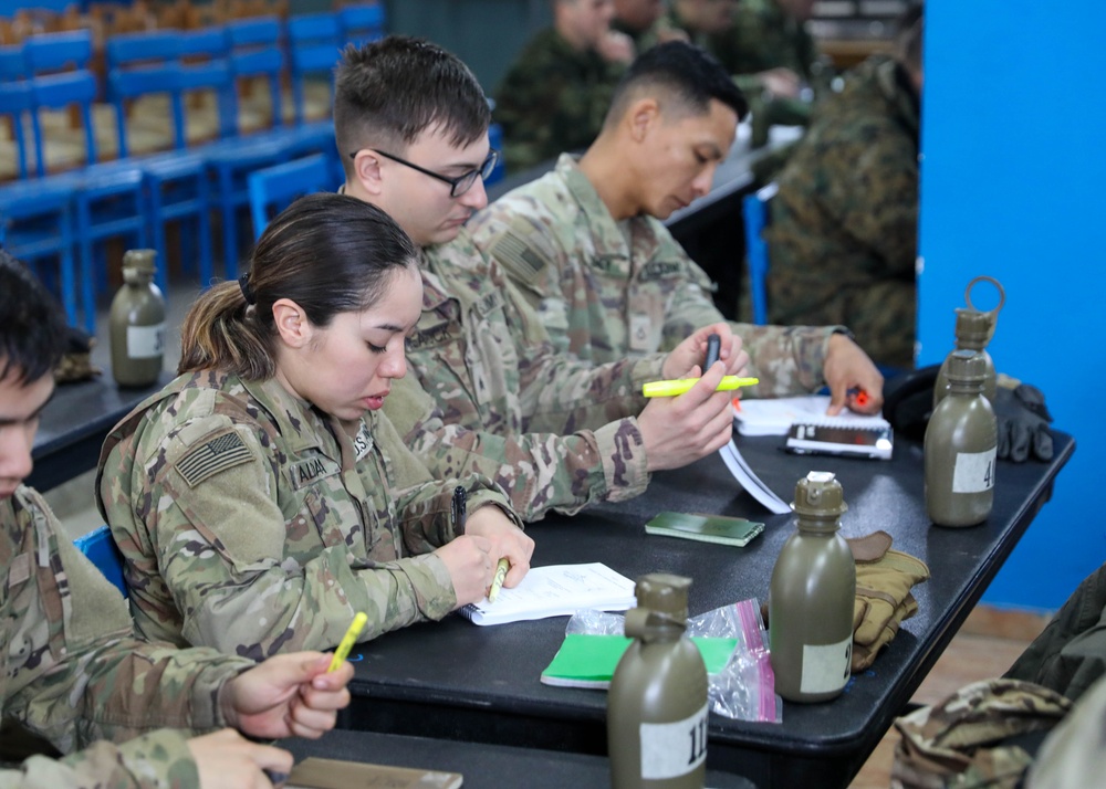 The 101st Air Assault Multi-national training in Greece