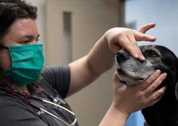 Team McConnell ‘s vet clinic