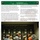 Alumni Newsletter