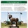Alumni Newsletter