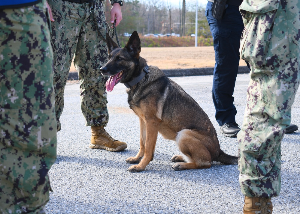 Pax River MWD Perimeter Sweep During Citadel Shield 2023