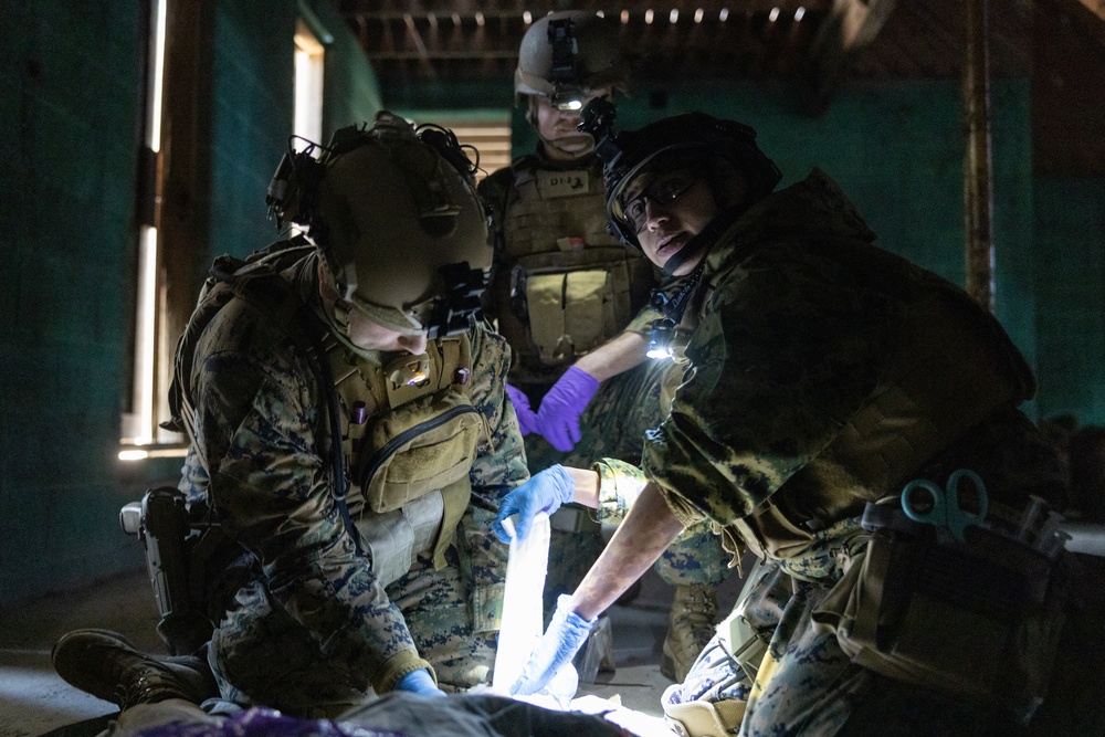 2nd Medical Battalion Tactical Scalable Surgical System Team