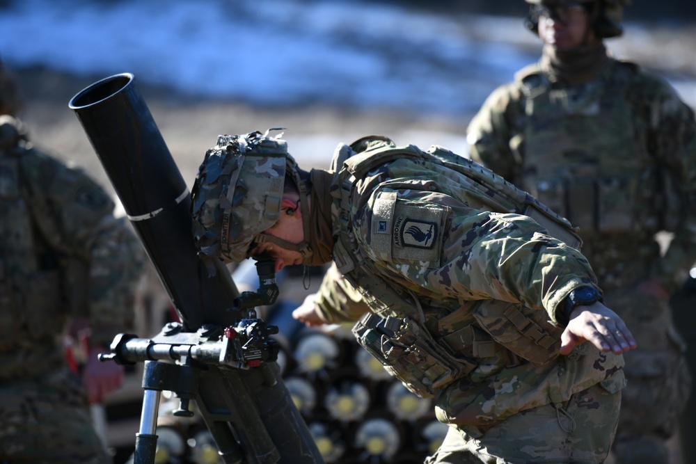 Exercise Thunder Mortar Gunnery