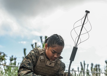 7th COMM MEU Platoon FEX