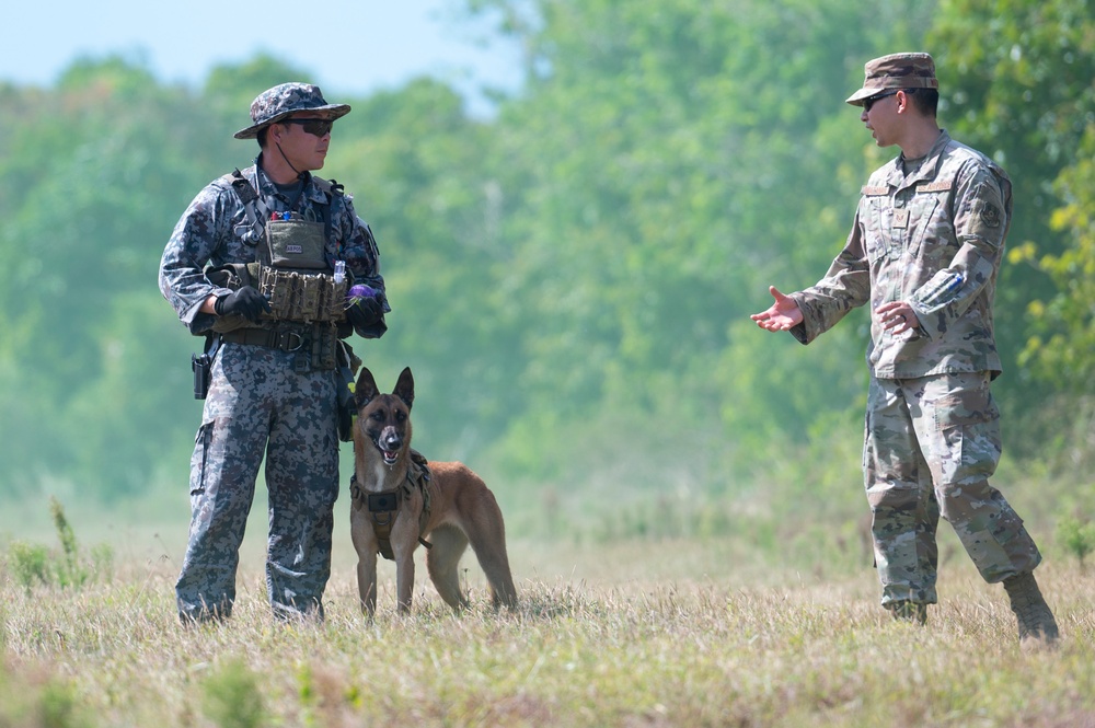 Combined MWD teams train during Pacific Defender