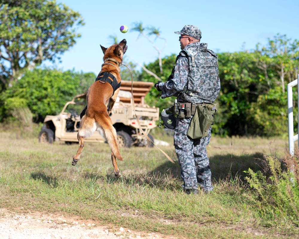 Combined MWD teams train during Pacific Defender