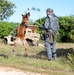 Combined MWD teams train during Pacific Defender