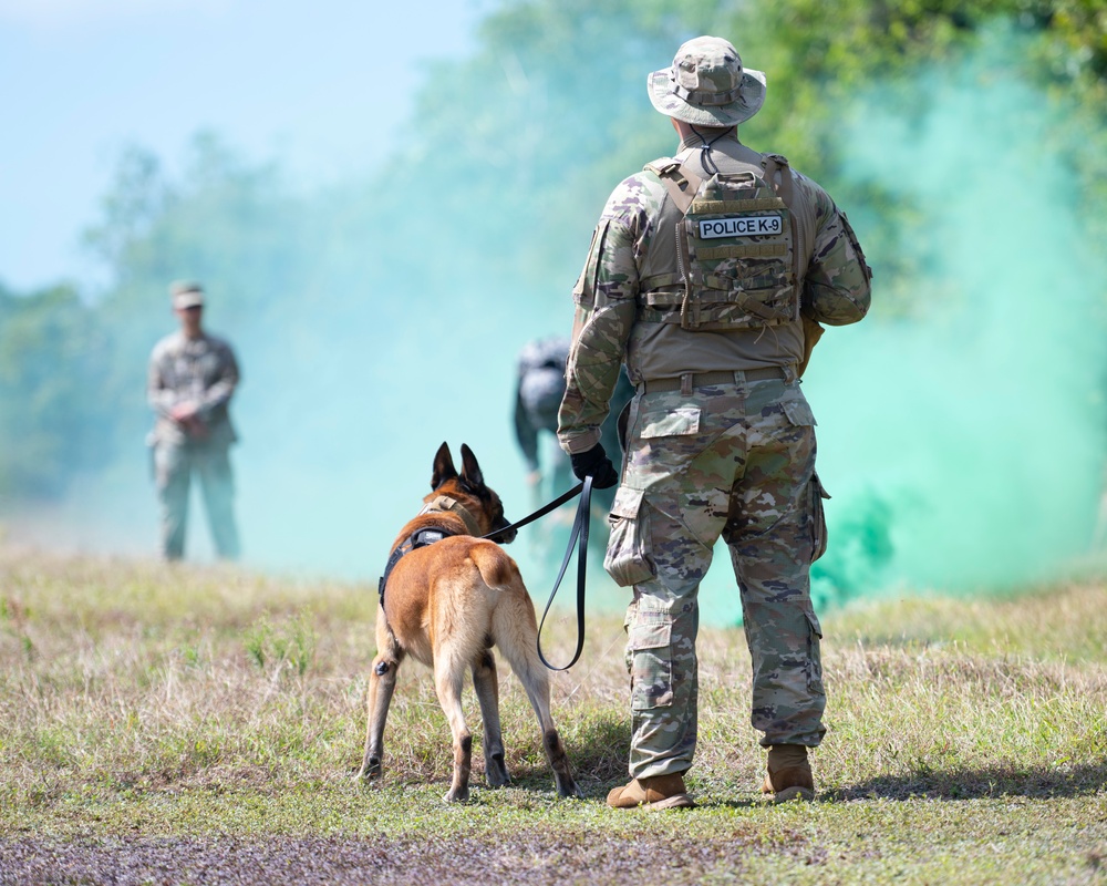 Combined MWD teams train during Pacific Defender