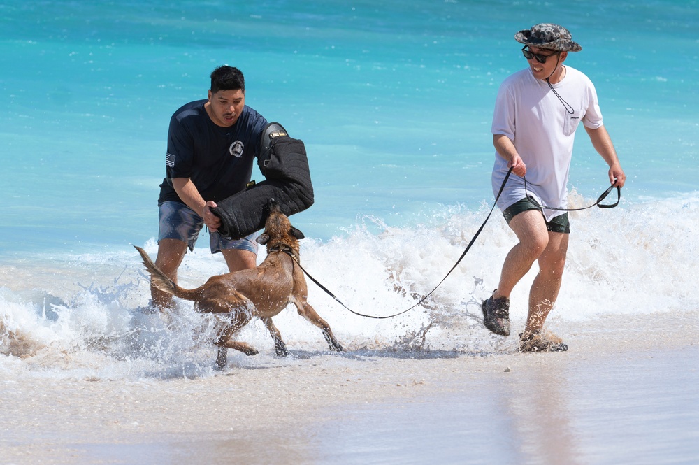 Combined MWD teams train during Pacific Defender